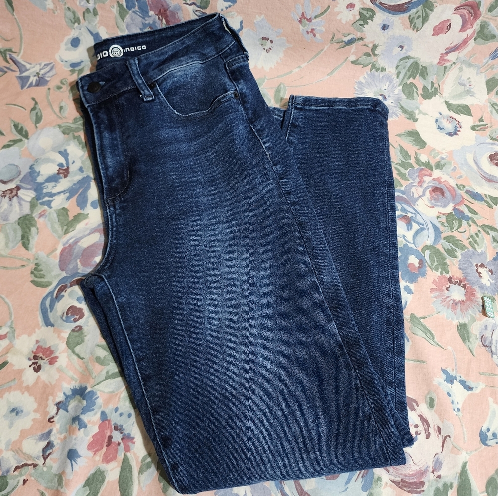 Max Studio Indigo Modern Authentic High Rise Skinny Silas Size 10 Dark Wash